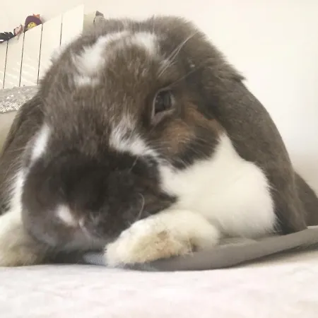 Apartment Particular,bano Compartido